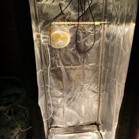 armadio per la coltivazione indoor 