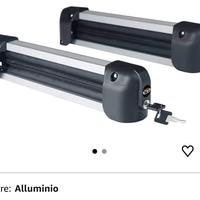 Porta sci per tetto auto