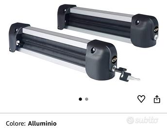 Porta sci per tetto auto