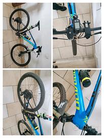 mtb torpado 