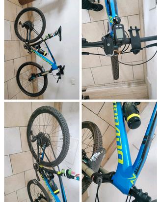 mtb torpado 