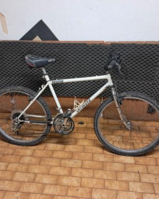 Bici Specialized S Works 