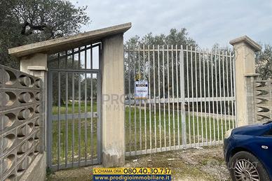 Terreno recintato a Bisceglie