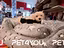 Immagine 25