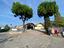 Immagine 12
