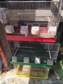 GABBIE PER UCCELLI 🐦