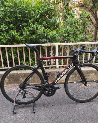 pinarello gan