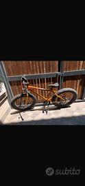 Fat bike