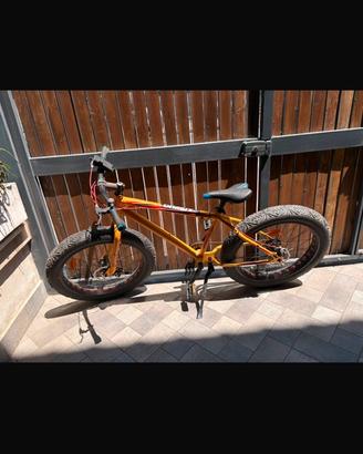 Fat bike