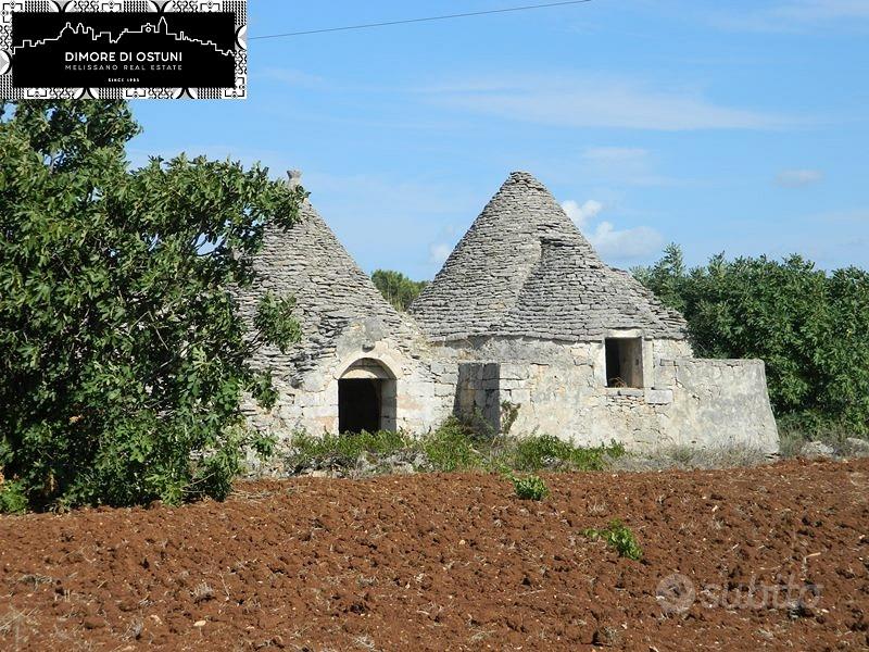 Gruppo di trulli le nicchie - martina franca - Vista 3