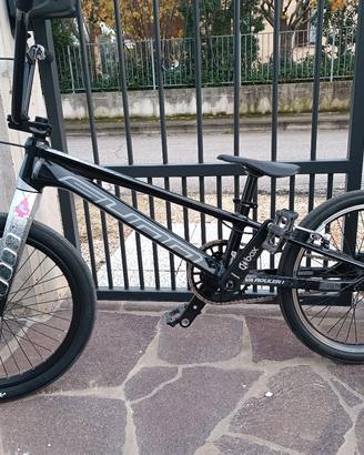 Bmx Sunn royal