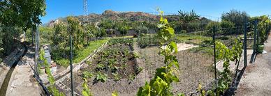 Terreno/Orto in zona E