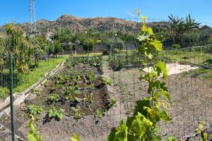 Terreno/Orto in zona E