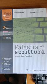 Palestra di scrittura. Per le Scuole superiori. Co