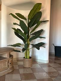 Pianta artificiale banano