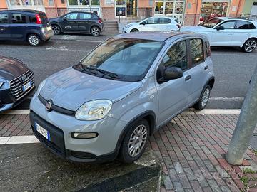 Fiat Panda 1.0 S&S FIREFLY Hybrid