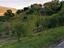 Immagine 7