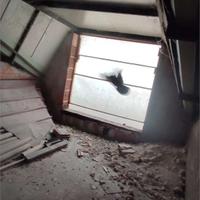 Ceccano - Rif. PID 968115