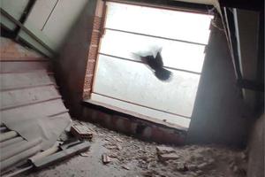 Ceccano - Rif. PID 968115