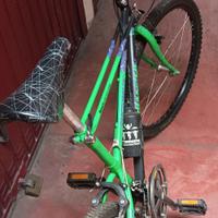 Bici Bianchi Thomisus ragno