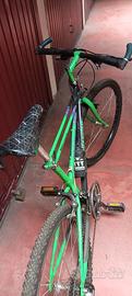 Bici Bianchi Thomisus ragno