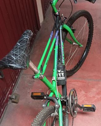 Bici Bianchi Thomisus ragno