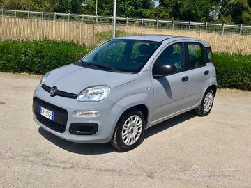 Fiat Panda 1.0 FireFly Hybrid 5 Posti