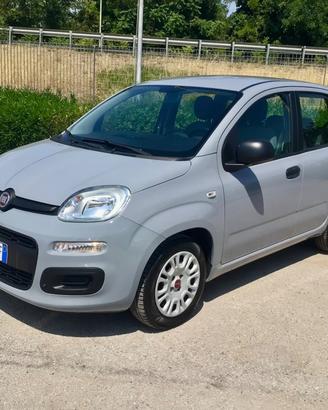 Fiat Panda 1.0 FireFly Hybrid 5 Posti