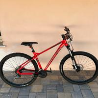 mtb olympia cobra 29