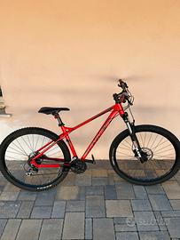 mtb olympia cobra 29