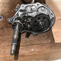 ingranaggi sh 125 2019