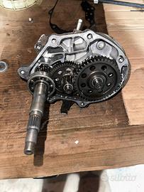 ingranaggi sh 125 2019