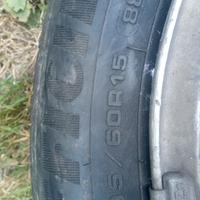 gomme estive