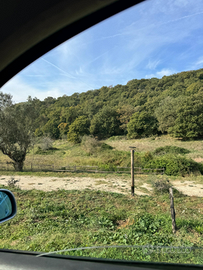 Sacrofano terreno agricolo