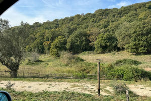 Sacrofano terreno agricolo