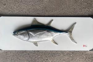 Quadro 3D Tonno Marine Tuttovela Arredo Nautico