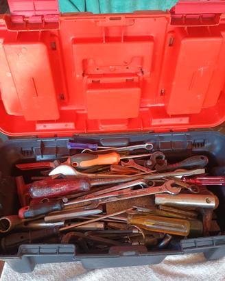 Varie cassette in plastica e utensili da lavoro