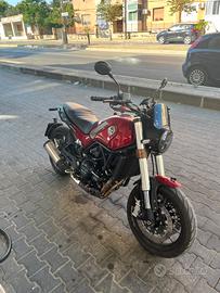 Benelli leoncino 500 2021