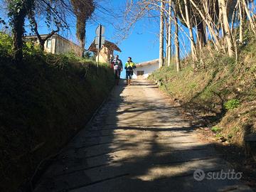 Terreno agricolo in area IGP ciliegie LARI