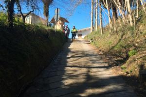 Terreno agricolo in area IGP ciliegie LARI