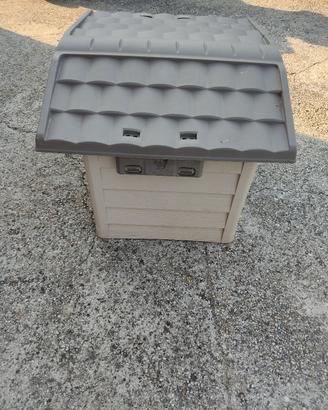 casa per cani