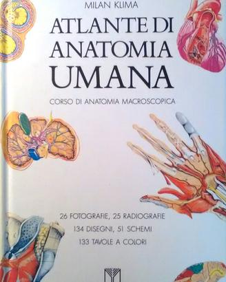 Atlante di anatomia umana
