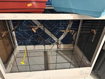 Voliera e due gabbie per i canarini