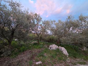 Terreno agricolo Casertavecchia Pozzovetere