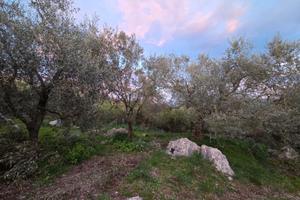 Terreno agricolo Casertavecchia Pozzovetere