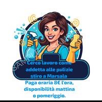Addetta a pulizie e studio