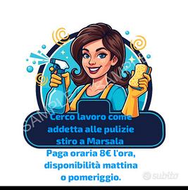 Addetta a pulizie e studio
