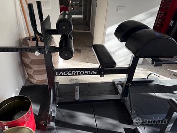 LACERTOSUS GHD PRO usato