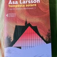 Asa Larsson, Tempesta solare