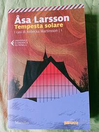 Asa Larsson, Tempesta solare